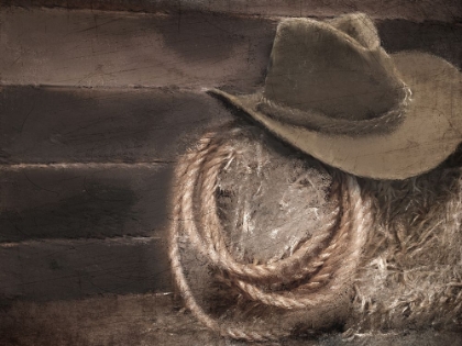 Picture of COWBOY BALE