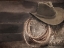 Picture of COWBOY BALE