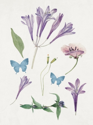 Picture of BOTANICAL PURPLE 1
