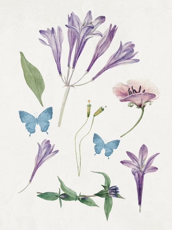 Picture of BOTANICAL PURPLE 1