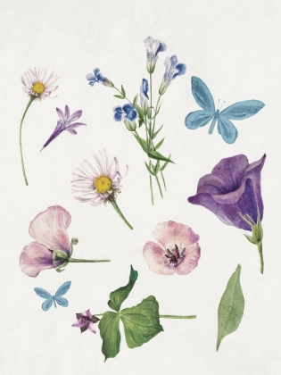 Picture of BOTANICAL PURPLE 2