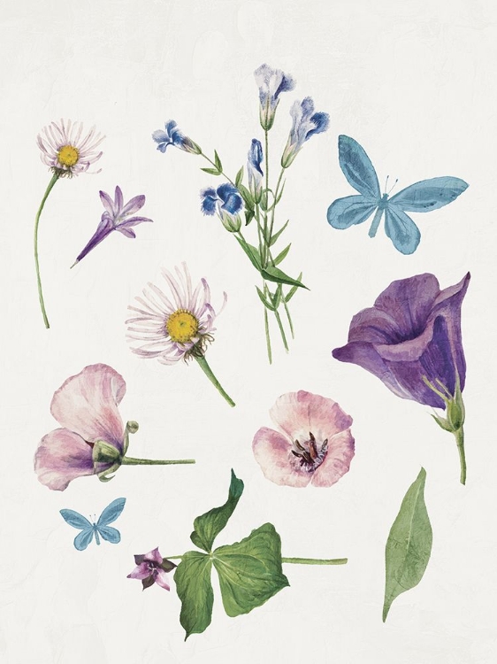 Picture of BOTANICAL PURPLE 2