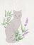 Picture of KITTENS 1