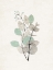 Picture of LINEN PETALS 2