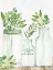 Picture of SOAK UNWIND JARS