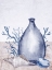 Picture of SEA GLASS SHELLS 2