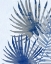 Picture of BLUE TROPICAL 1