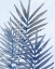 Picture of BLUE TROPICAL 2