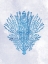 Picture of CORAL BLUE 1