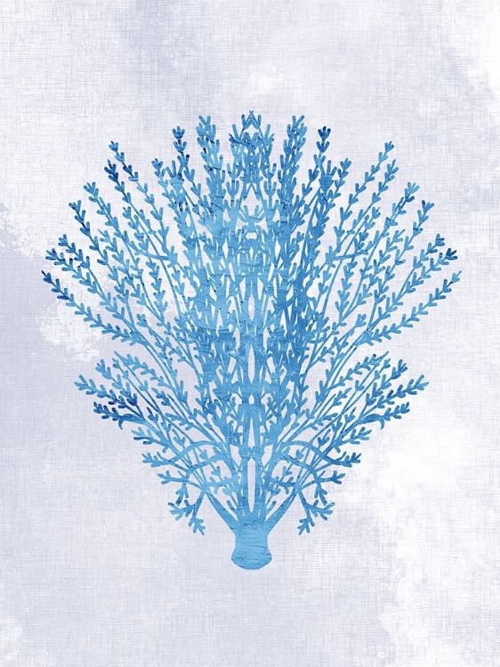 Picture of CORAL BLUE 1