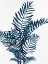 Picture of NATURAL BLUE PALMS 1
