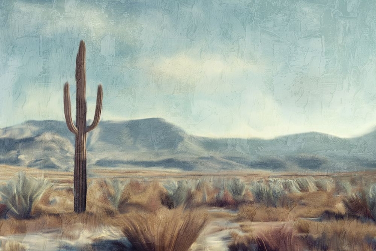 Picture of COWBOY BACKYARD