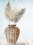 Picture of RATTAN PALMS 1