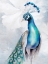 Picture of FLORAL PEACOCK 1