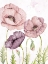 Picture of SOFT POPPIES 1