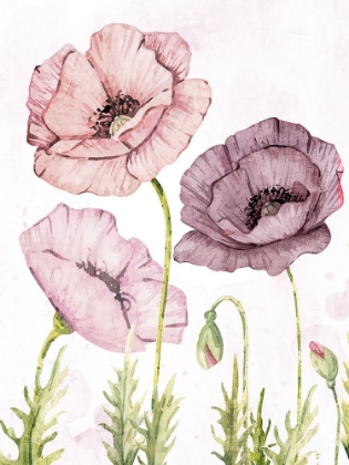 Picture of SOFT POPPIES 2