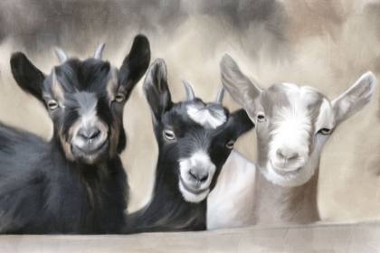 Picture of MY THREE