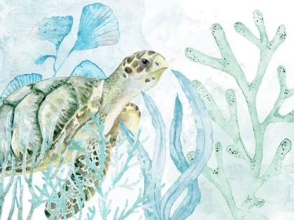 Picture of IN THE SEA 7