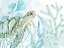 Picture of IN THE SEA 7