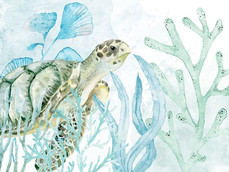 Picture of IN THE SEA 7
