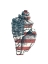 Picture of AMERICAN SHELL 3