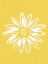 Picture of SUMMERTIME DAISY 2