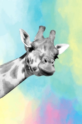 Picture of QUIRKY GIRAFFES 1