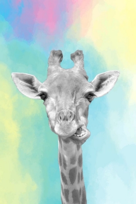 Picture of QUIRKY GIRAFFES 2
