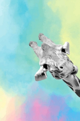 Picture of QUIRKY GIRAFFES 3