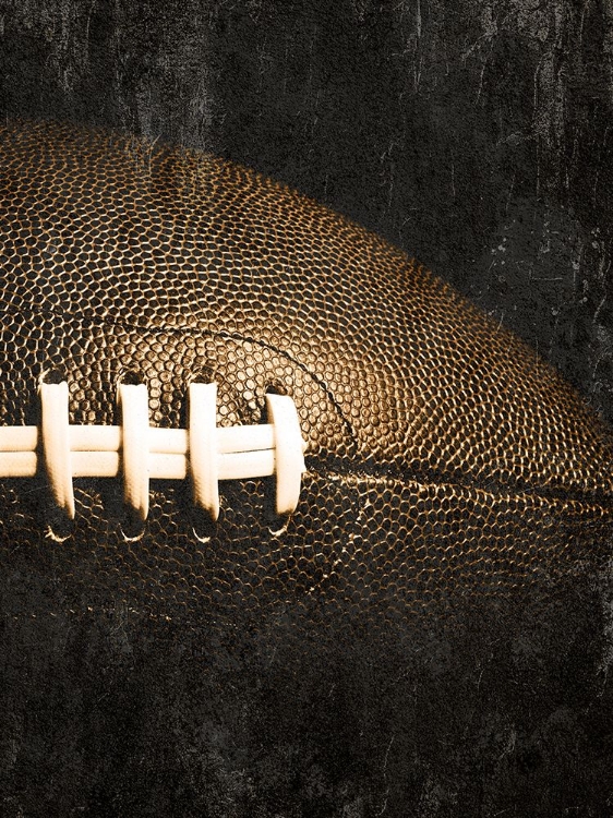 Picture of LOVE OF THE GAME 1