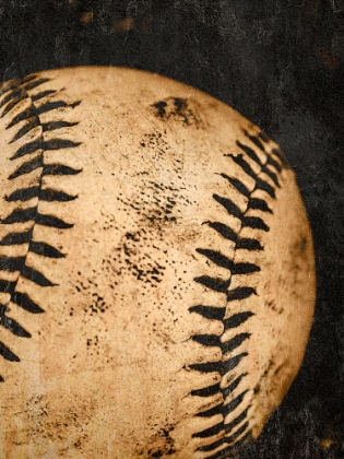 Picture of LOVE OF THE GAME 2