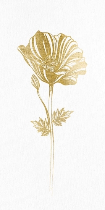Picture of CHAMPAGNE GOLD FLORAL 1