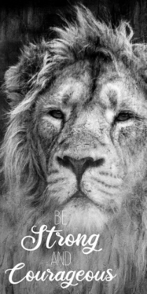 Picture of LION STRONG