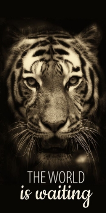 Picture of THE WORLD IS WAITING