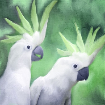Picture of TWO V2