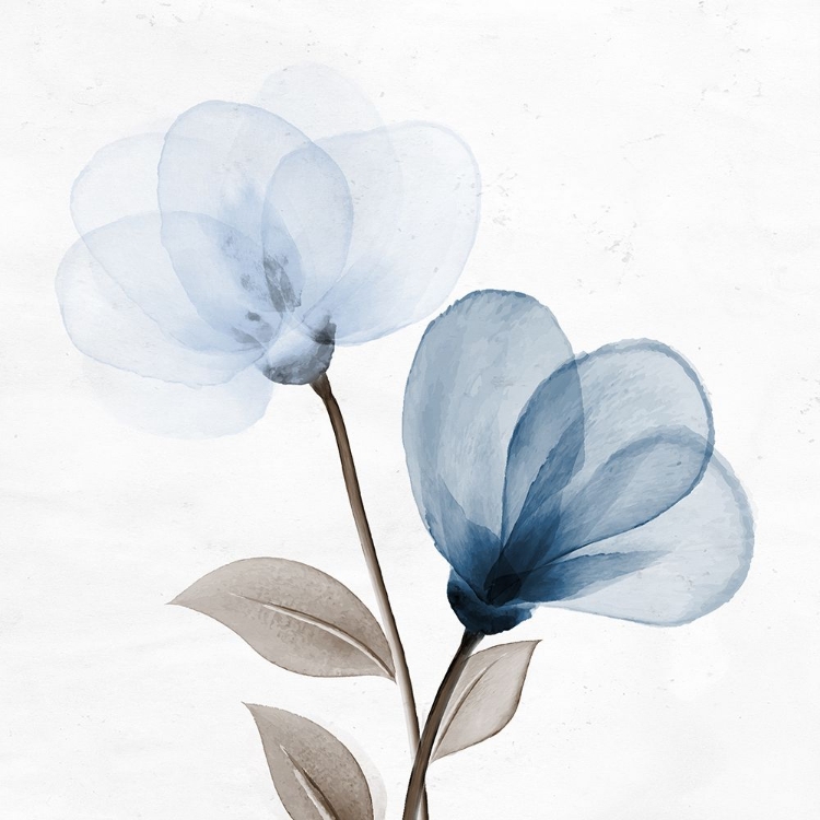 Picture of OPEN BLOOM 1 V2
