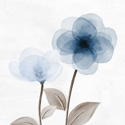 Picture of OPEN BLOOM 2 V2