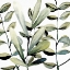 Picture of GREEN BUNCH 2