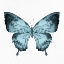 Picture of BUTTERFLY PRINT 1