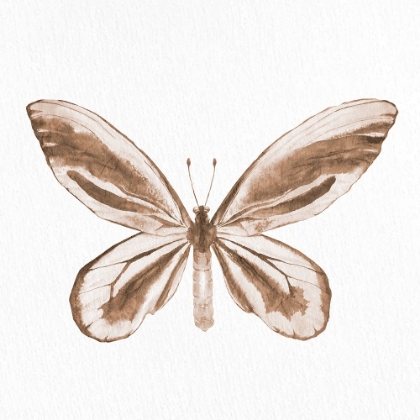 Picture of BUTTERFLY PRINT 2