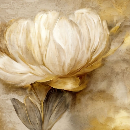 Picture of GOLDEN