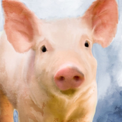 Picture of FARM BLUE 2