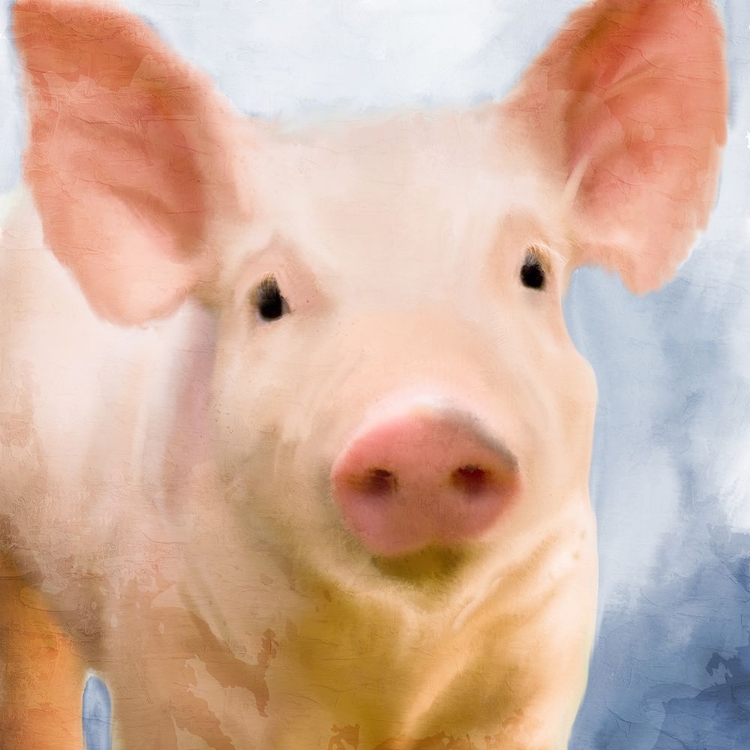 Picture of FARM BLUE 2
