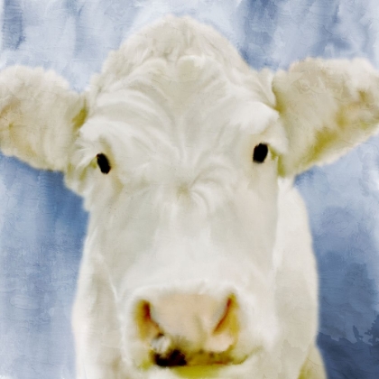 Picture of FARM BLUE 3