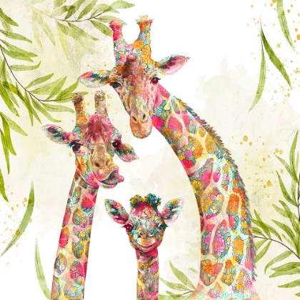 Picture of GIRAFFE FAMILY