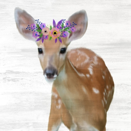 Picture of BABY DEER