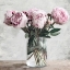 Picture of SOFT PEONIES