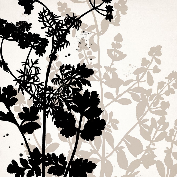 Picture of BOTANICAL BLACK 1
