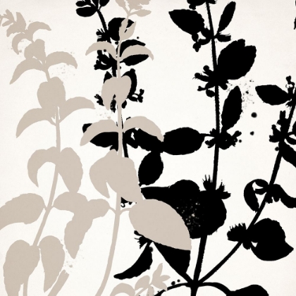 Picture of BOTANICAL BLACK 2