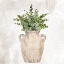 Picture of TERRACOTTA VASE 1